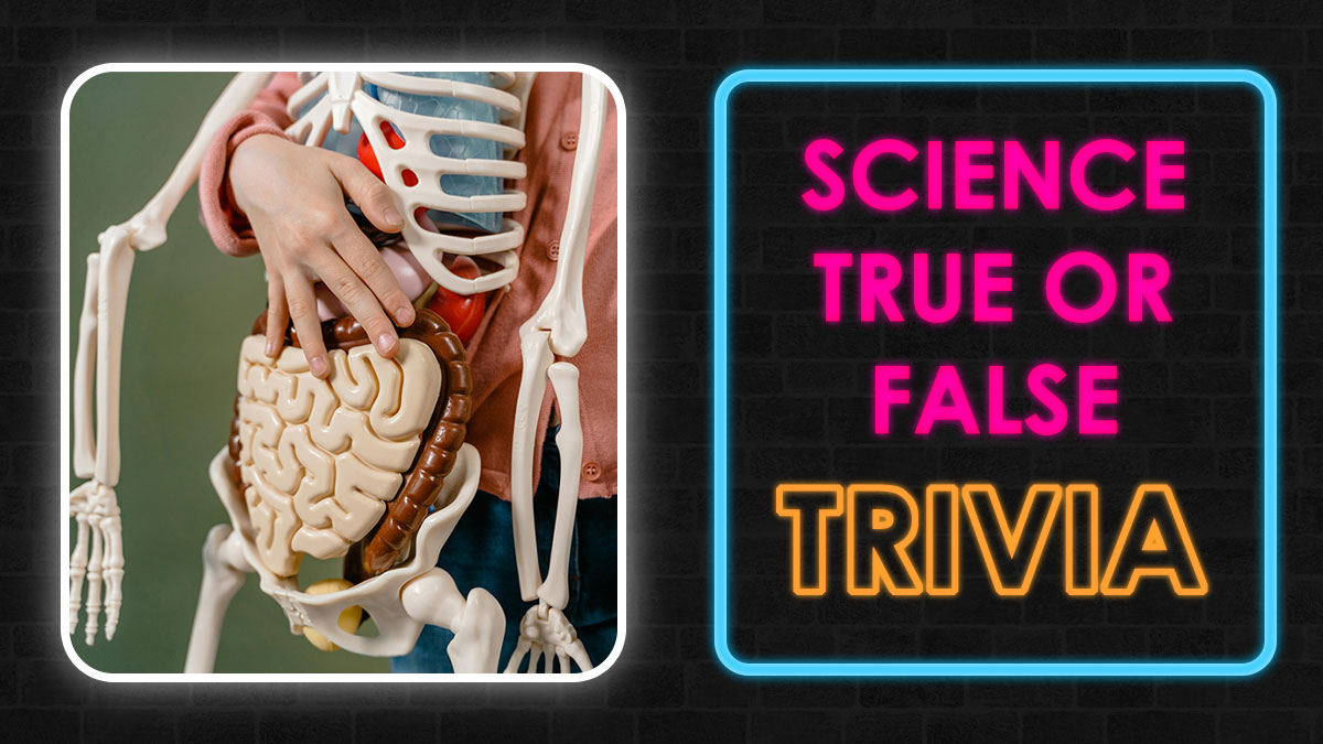We’re Not Saying You’re A Science Genius, But Acing This 50-Question True-Or-False Quiz Might Prove It