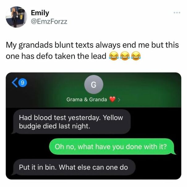 Scottish humor in text exchange about a blunt reaction to a pet budgie’s death.