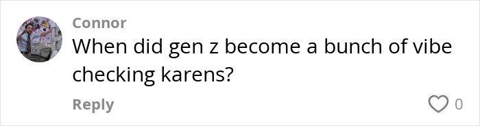 Text comment on a social media post about Gen Z and vibe checking, written by Connor. Text comment on a social media post about Gen Z and vibe checking, written by Connor.