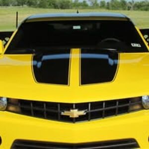 ted_nicholson avatar