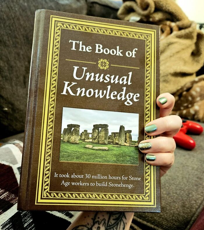 Hand holding "The Book of Unusual Knowledge," a tool for digital detox, against a cozy background.