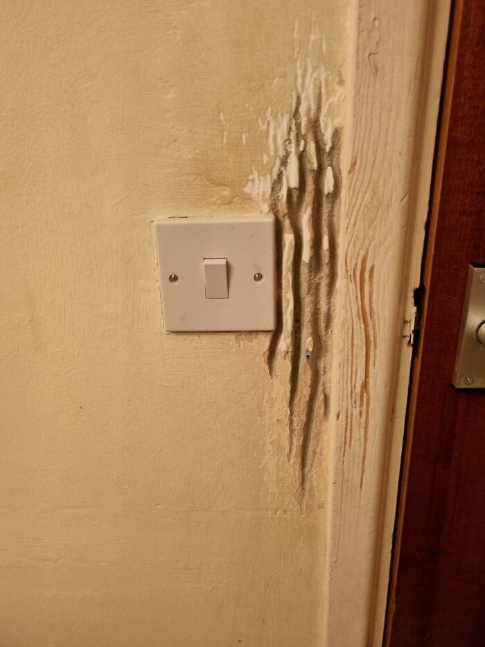 A light switch on a wall with visible damage, illustrating the effects of time on things.