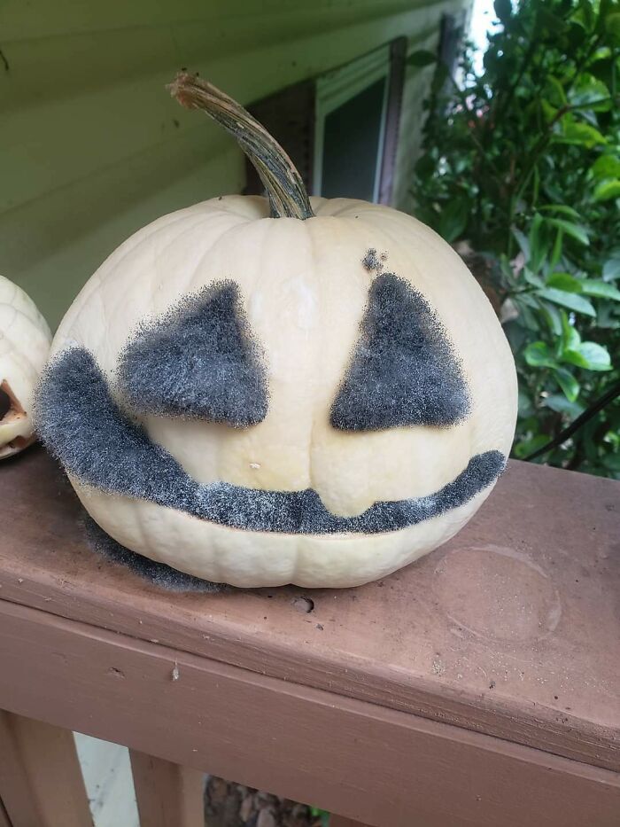 A decaying pumpkin jack-o'-lantern on a porch, illustrating the impact of time on things.