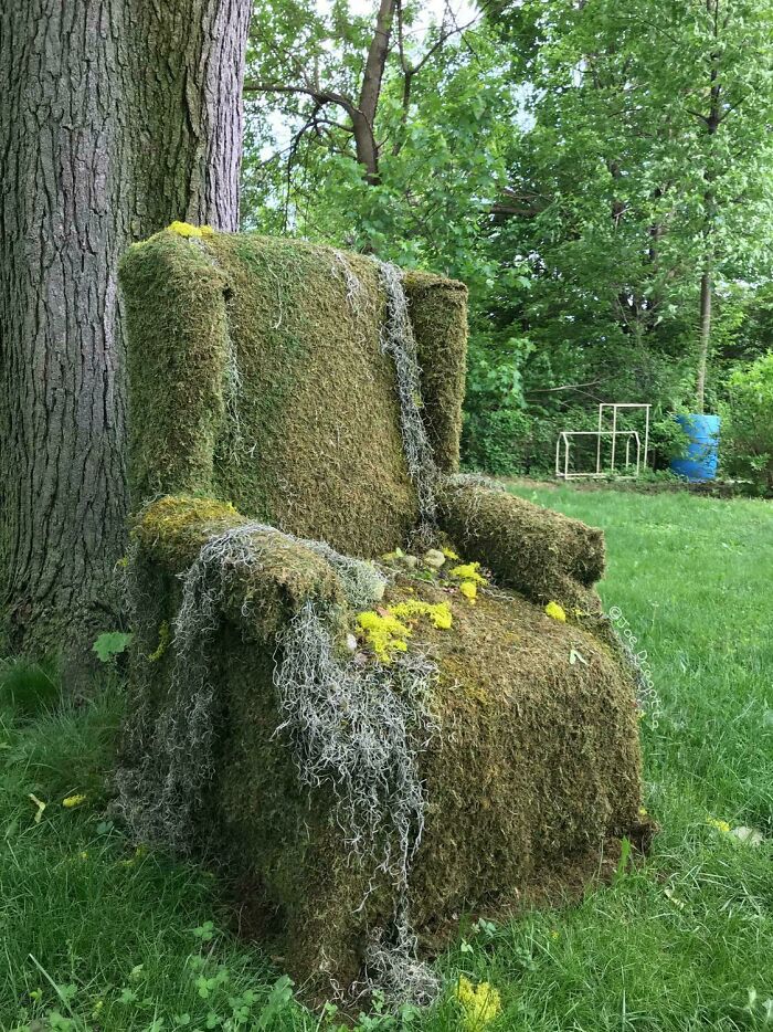 Moss-covered chair outdoors, illustrating time's effect on things in a lush green setting.