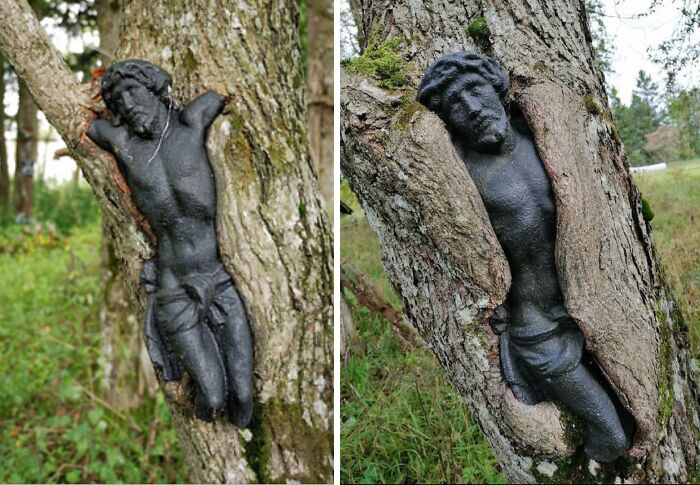 A statue of a man embedded in a tree, illustrating time vs. things as nature envelops the artwork.