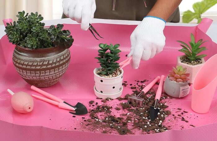 Person practicing digital detox by gardening with succulents on a pink mat, using small tools and wearing gloves.