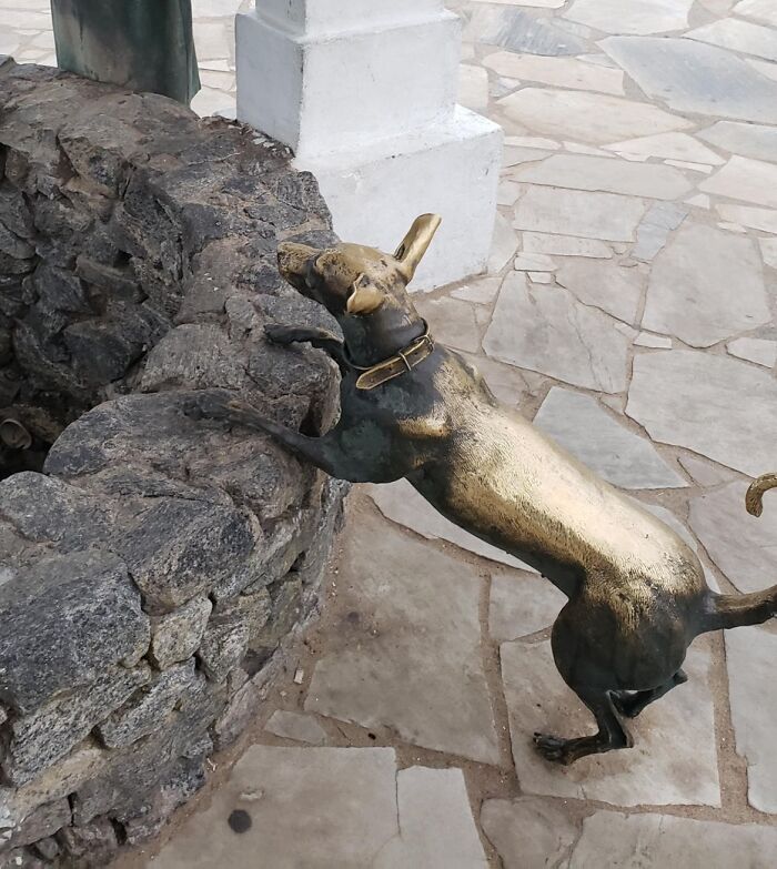 Bronze dog statue reaching into a stone well, capturing a moment of curiosity and anticipation.