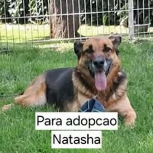 dolores_silva avatar