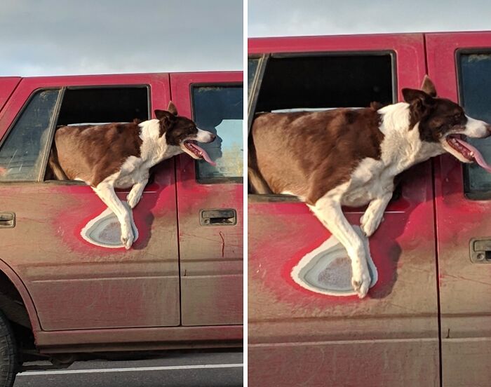 Dog leaning out of a red car window, highlighting time vs. things.