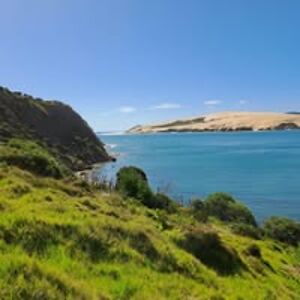 vegie4evaneva avatar