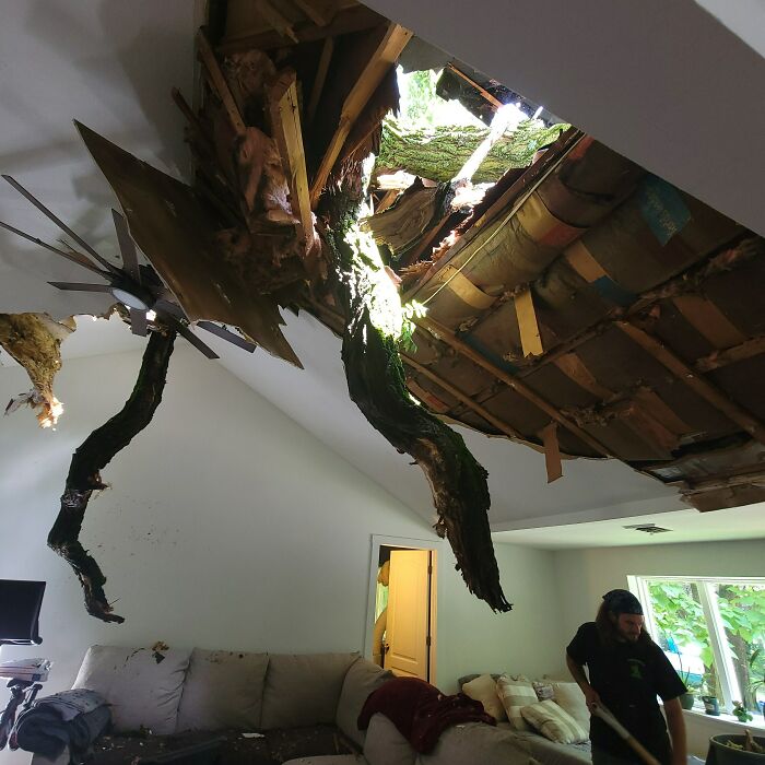 Tree branch crashes through roof, showcasing nature's power in a living room.