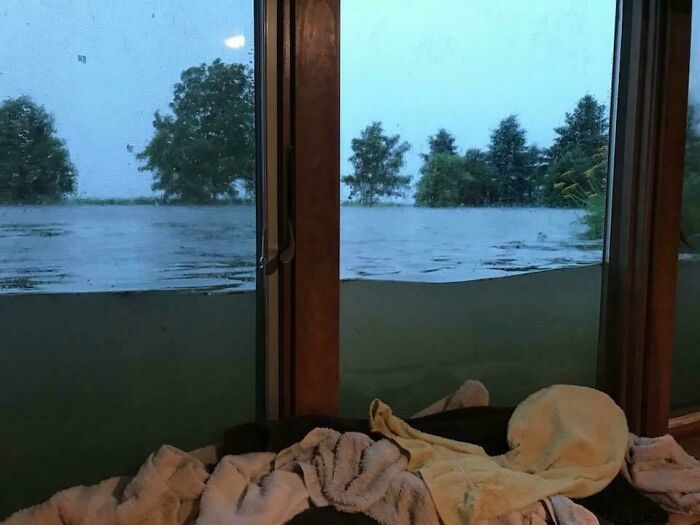 Floodwaters rise outside a window, revealing nature's powerful and terrifying force.