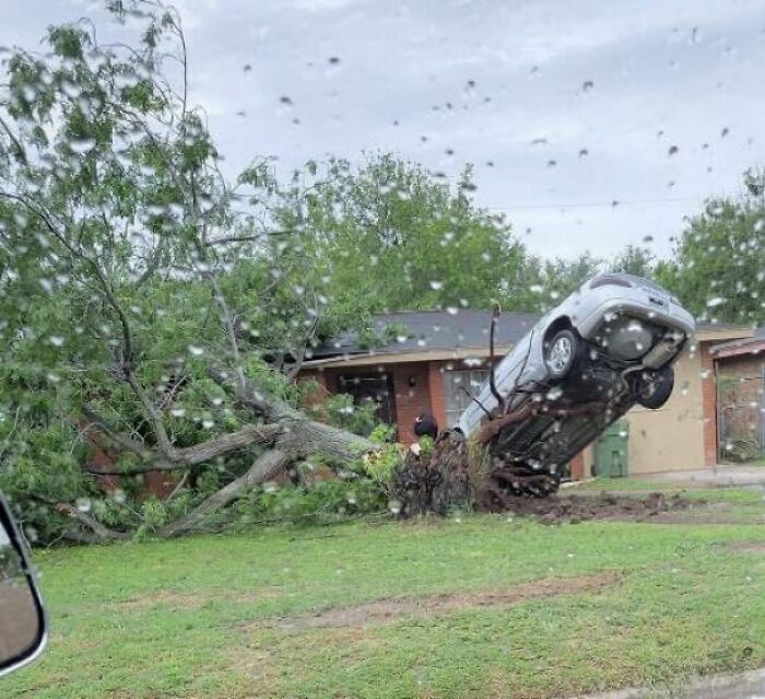 Car lifted by uprooted tree, showing nature's powerful and terrifying might.