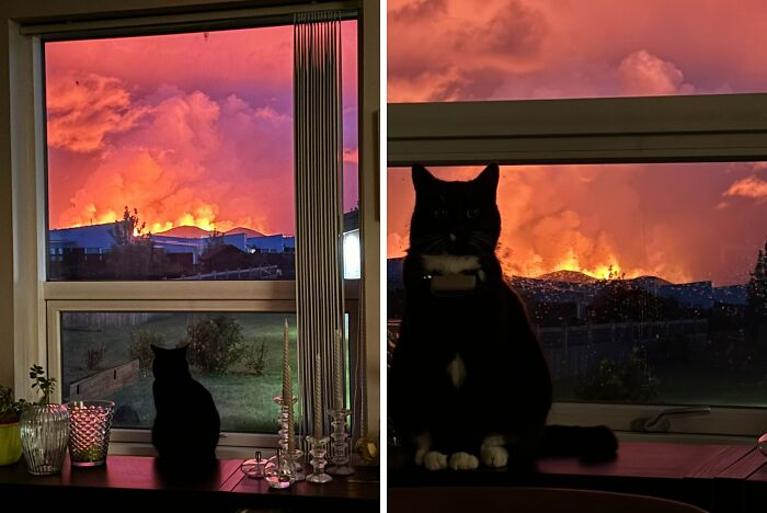 A cat silhouetted against a dramatic sunset, showcasing nature's powerful and terrifying beauty through a window view.