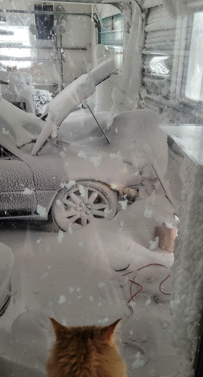 A car covered in thick ice inside a garage, showcasing nature's powerful and terrifying winter impact.