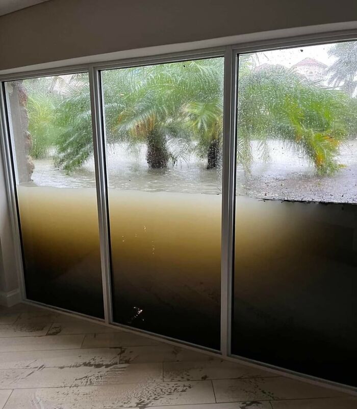 Floodwaters rise against a glass door, palm trees partially submerged; showcasing nature's powerful and terrifying force.