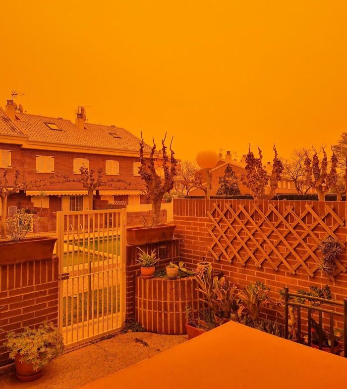 Orange sky over a residential area, illustrating nature's powerful and terrifying phenomenon.