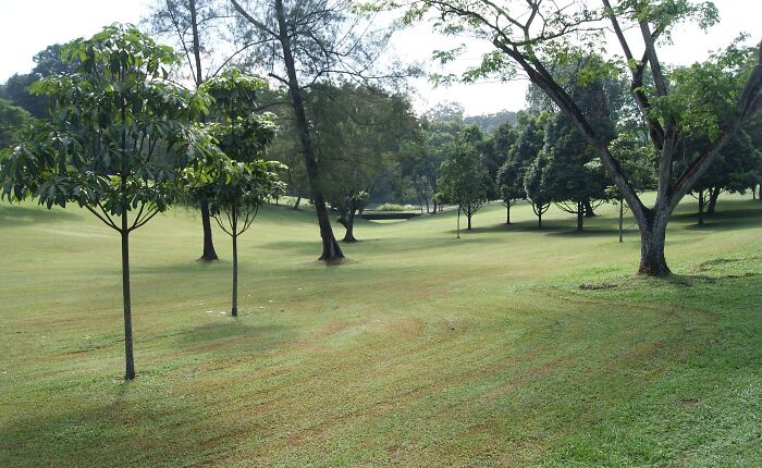 Lush golf course with rolling greens, surrounded by trees under clear skies.