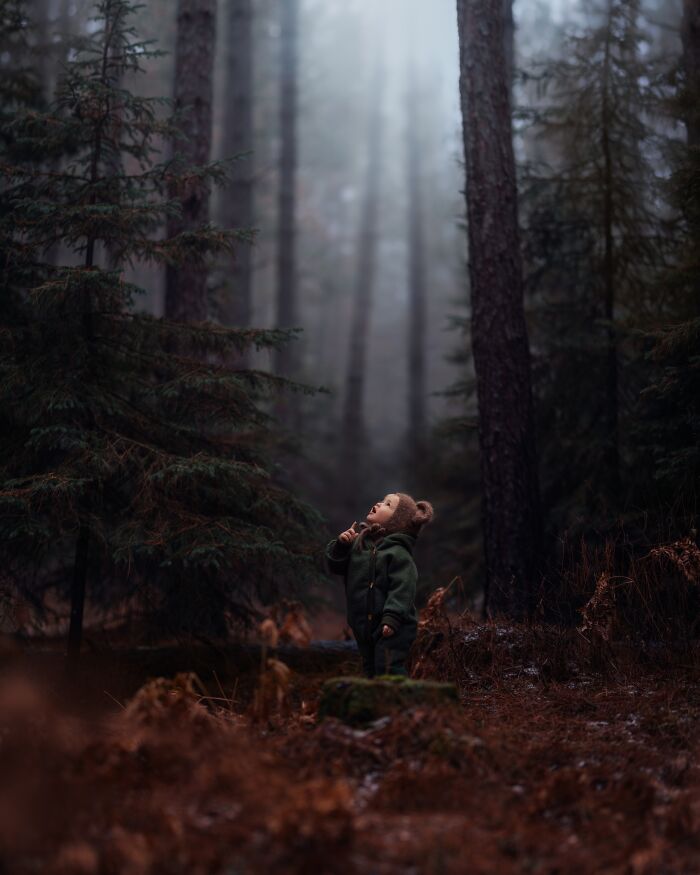 Child in a forest, looking up in wonder, showcasing the magic of childhood through a mother’s lens.