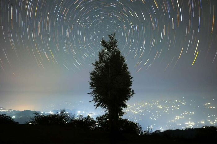 Astrophotography of star trails over a silhouetted tree with city lights in the distance.
