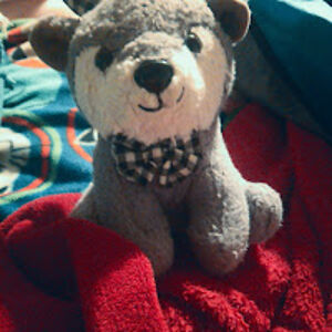 melissamarshall avatar