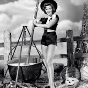 angietudormzangie avatar