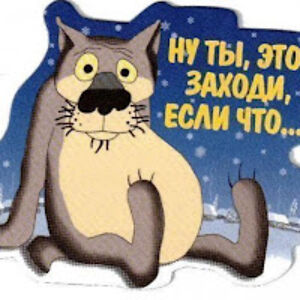 ishashyil1224 avatar