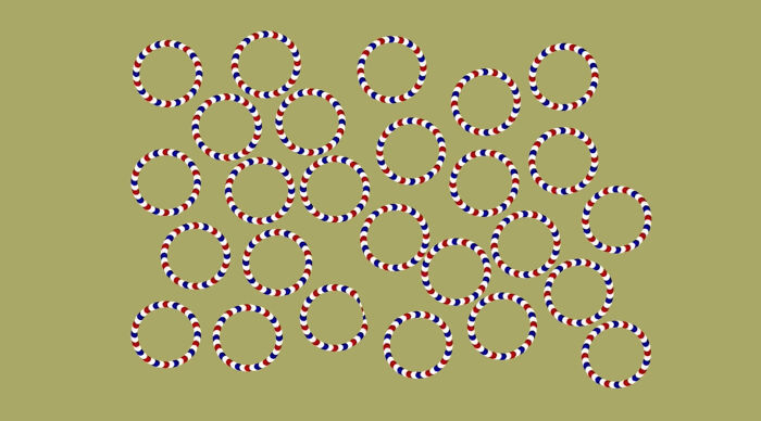 Colorful circles in an optical illusion pattern on a green background.