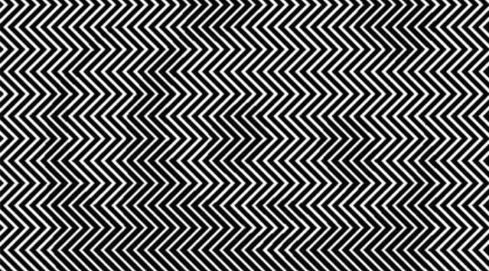 Zigzag black and white optical illusion pattern suggests hidden image when you shake your head.