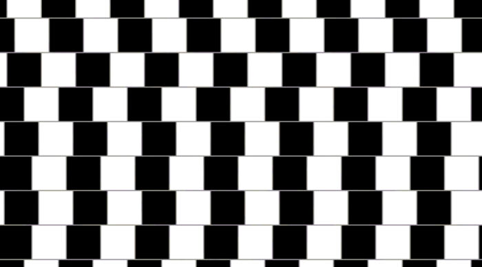 Black and white optical illusion with straight lines appearing wavy.