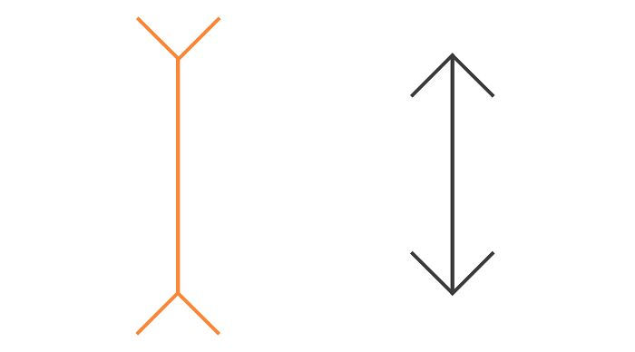Optical illusions with two lines: one with inward-pointing arrows and one with outward-pointing arrows.