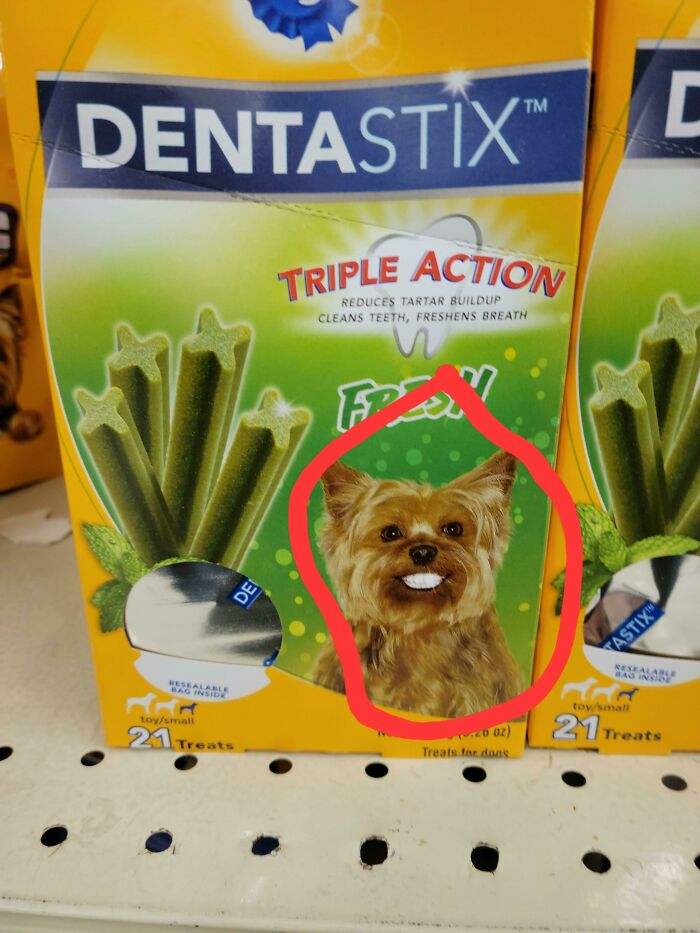 Dog with human teeth on dental treat packaging. Disastrous design highlighting product misleading visuals.