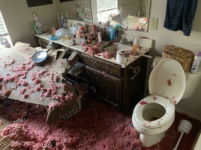Bathroom wrecked by poor decisions, debris covers floor and countertop, showcasing damage.