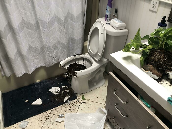 Bathroom disaster with a broken toilet seat and spilled plant soil, illustrating remarkably poor decisions in home management.