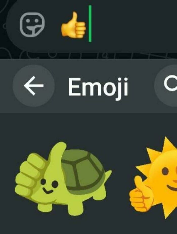Emoji screen showing thumbs-up and unique turtle emoji adding interest.