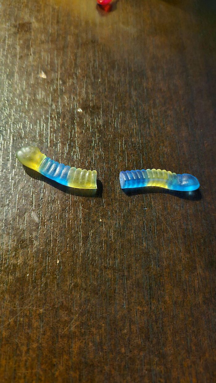 Two gummy worms, blue and yellow, lying on a wooden surface.