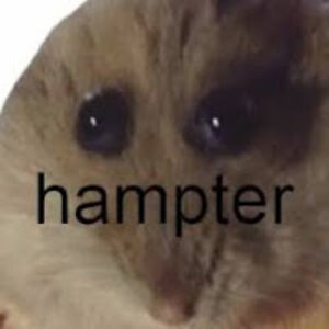 thomasblackham avatar