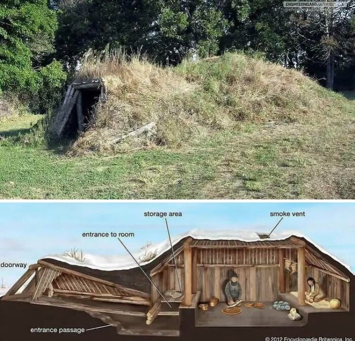 Underground dwelling infographics, showcasing a cutaway design and labeled features for educational purposes.