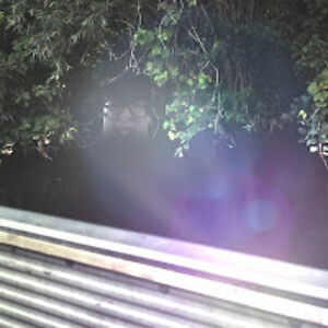 angusstratton_2 avatar