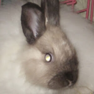 carolyndunsmoor avatar