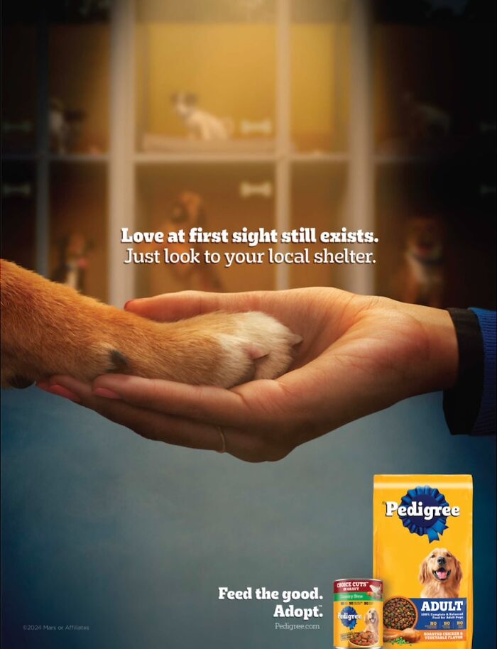A human hand holding a dog paw, promoting canine adoption and Pedigree pet food.