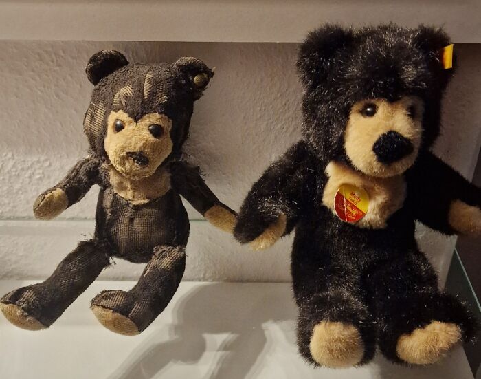 Two teddy bears showing transformation by time and use, one worn and faded, the other new and plush.