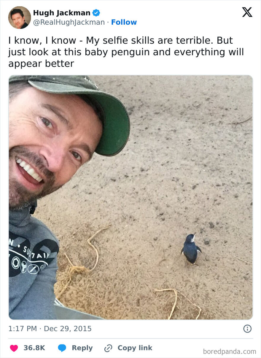 A funny meme of a man taking a selfie with a baby penguin on a sandy beach.