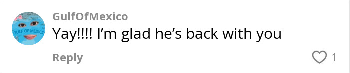 Social media comment expressing happiness about NASA astronaut’s return. Social media comment expressing happiness about NASA astronaut’s return.