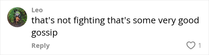 Comment text reads: "that's not fighting that's some very good gossip," relating to lipreading an "aggressive" exchange. Comment text reads: "that's not fighting that's some very good gossip," relating to lipreading an "aggressive" exchange.
