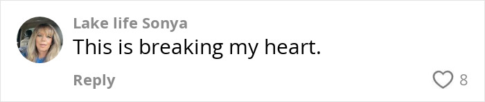 Comment about 95YO woman vanishing, expressing sadness with heart icon and username Lake life Sonya. Comment about 95YO woman vanishing, expressing sadness with heart icon and username Lake life Sonya.