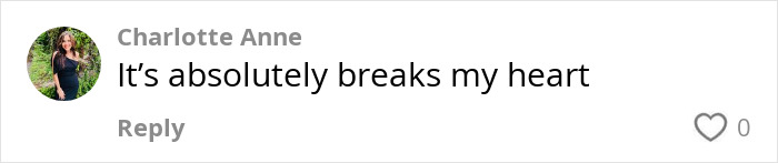 Comment by Charlotte Anne expressing sadness about a 95-year-old woman's disappearance. Comment by Charlotte Anne expressing sadness about a 95-year-old woman's disappearance.