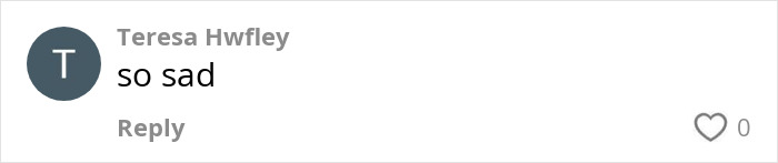 Comment by Teresa Hwifley saying 'so sad' about a 95YO woman who vanished without a trace. Comment by Teresa Hwifley saying 'so sad' about a 95YO woman who vanished without a trace.