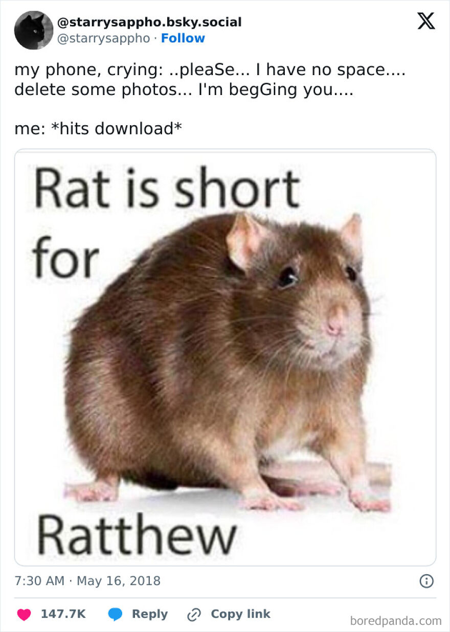Funny meme about a rat named Ratthew, highlighting the humor in naming conventions.
