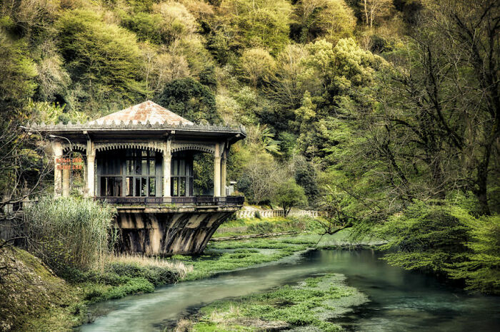Abandoned structure by a lush river in an overgrown forest, showcasing stunning and eerie beauty.